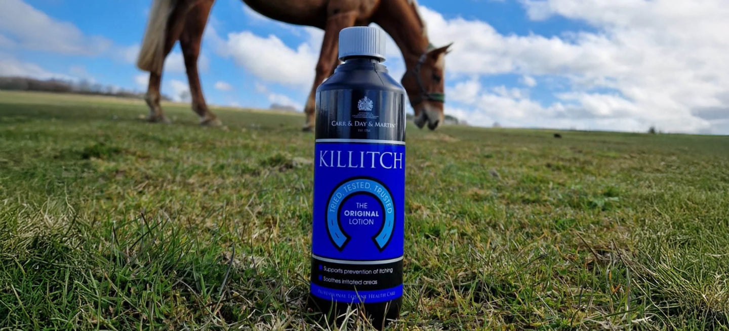 Killitch et autres solutions contre les démangeaisons chez le cheval