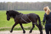 Imperial Riding Longues Lignes IRHFree Ride Noir Imperial Riding Longues Lignes IRHFree Ride Noir