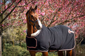 HB Couverture de Concours Showtime Rose Gold Noir HB Couverture de Concours Showtime Rose Gold Noir