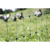 Kerbl Filet double pointe Vert Kerbl Filet double pointe Vert