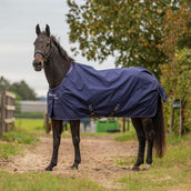 Agradi by Bucas Turnout Rug 0g Marine/Argent Agradi by Bucas Turnout Rug 0g Marine/Argent