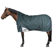 WeatherBeeta ComFiTec Plus Dynamic Turnout High Neck 100g Forest Green/Navy WeatherBeeta ComFiTec Plus Dynamic Turnout High Neck 100g Forest Green/Navy