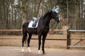 Showtime Tapis de Selle Spring Dressage Bleu clair Showtime Tapis de Selle Spring Dressage Bleu clair