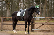 Showtime Tapis de Selle Spring Dressage Vert menthe Showtime Tapis de Selle Spring Dressage Vert menthe