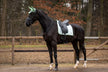 Vert menthe