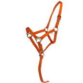 Norton Licol pour Poulain avec Ligne Orange Norton Licol pour Poulain avec Ligne Orange