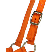 Norton Licol pour Poulain avec Ligne Orange Norton Licol pour Poulain avec Ligne Orange