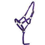 Norton Licol pour Poulain avec Ligne Violet Norton Licol pour Poulain avec Ligne Violet