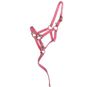 Norton Licol pour Poulain avec Ligne Rose Norton Licol pour Poulain avec Ligne Rose