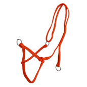 Agradi Licol Vache Orange Agradi Licol Vache Orange