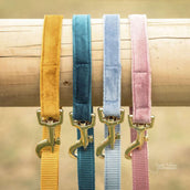 Kentucky Laisse pour Chien velours Émeraude Kentucky Laisse pour Chien velours Émeraude