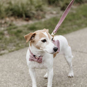Kentucky Laisse pour Chien velours Old Rose Kentucky Laisse pour Chien velours Old Rose