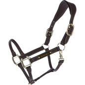 Kentucky Licou Bride Marron Kentucky Licou Bride Marron