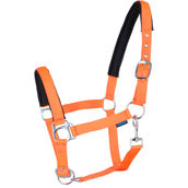 Norton Licol Fluo Rembourrage Orange Norton Licol Fluo Rembourrage Orange
