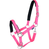 Norton Licol Fluo Rembourrage Rose Norton Licol Fluo Rembourrage Rose
