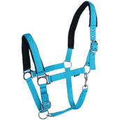 Norton Licol Fluo Rembourrage Bleu Norton Licol Fluo Rembourrage Bleu