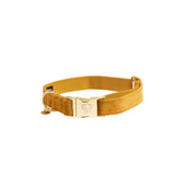 Kentucky Collier velours Moutarde Kentucky Collier velours Moutarde