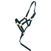 Norton Licol pour Poulain avec Longe Vert Foncé Norton Licol pour Poulain avec Longe Vert Foncé
