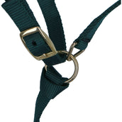 Norton Licol pour Poulain avec Longe Vert Foncé Norton Licol pour Poulain avec Longe Vert Foncé