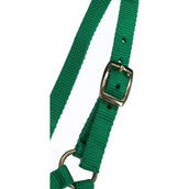Norton Licol pour Poulain avec Longe Vert clair Norton Licol pour Poulain avec Longe Vert clair