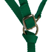 Norton Licol pour Poulain avec Longe Vert clair Norton Licol pour Poulain avec Longe Vert clair