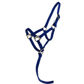 Norton Licol pour Poulain avec Longe Bleu Royal Norton Licol pour Poulain avec Longe Bleu Royal