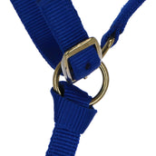 Norton Licol pour Poulain avec Longe Bleu Royal Norton Licol pour Poulain avec Longe Bleu Royal