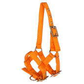 Norton Licol Mini Réglable Orange Norton Licol Mini Réglable Orange