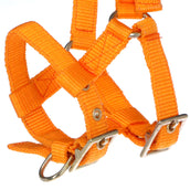 Norton Licol Mini Réglable Orange Norton Licol Mini Réglable Orange