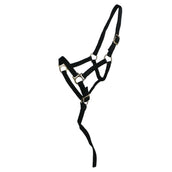 Norton Licol pour Poulain avec Ligne Noir Norton Licol pour Poulain avec Ligne Noir