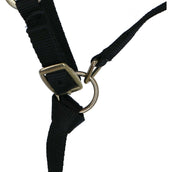 Norton Licol pour Poulain avec Ligne Noir Norton Licol pour Poulain avec Ligne Noir