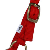 Norton Licol pour Poulain avec Ligne Rouge Norton Licol pour Poulain avec Ligne Rouge