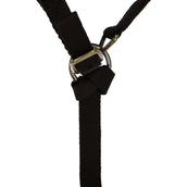 Norton Licol pour Poulain avec Ligne Marron Norton Licol pour Poulain avec Ligne Marron