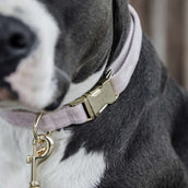 Kentucky Collier velours Soft Rose Kentucky Collier velours Soft Rose