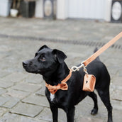 Kentucky Laisse pour Chien velours Orange Kentucky Laisse pour Chien velours Orange