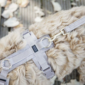 Kentucky Laisse pour Chien velours Beige Kentucky Laisse pour Chien velours Beige