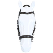 F.R.A. Hackamore Calli Stuk Hook Rênes en Cuir Havane F.R.A. Hackamore Calli Stuk Hook Rênes en Cuir Havane