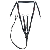 HB Collier de Chasse Leer Noir HB Collier de Chasse Leer Noir