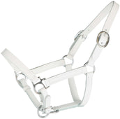 HB Licol pour Poulain Cuir Blanc HB Licol pour Poulain Cuir Blanc