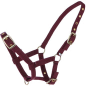 HB Licol pour Poulain Nylon Bordeaux HB Licol pour Poulain Nylon Bordeaux