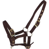 HB Licol pour Poulain Nylon Marron HB Licol pour Poulain Nylon Marron