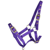 HB Licol pour Poulain Nylon Violet HB Licol pour Poulain Nylon Violet