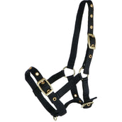 HB Licol pour Poulain Nylon Noir HB Licol pour Poulain Nylon Noir