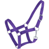 HB Licol Nylon Violet HB Licol Nylon Violet