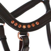 HB Licol Anatomic Marron HB Licol Anatomic Marron