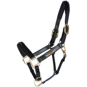 HB Licol Horse Name Leer Marron HB Licol Horse Name Leer Marron