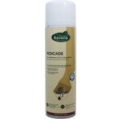 Ravene Pedicade Ravene Pedicade