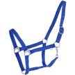 Bleu Royal