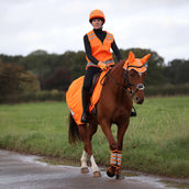 Equi-Flector by Shires Couvre-reins Mesh Réfléchissant Orange Equi-Flector by Shires Couvre-reins Mesh Réfléchissant Orange