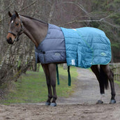 WeatherBeeta Couverture Green-Tec Medium/Lite Gris WeatherBeeta Couverture Green-Tec Medium/Lite Gris